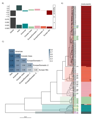 Whole-Genome Sequencing and Phenotyping Reveal Specific Adaptations of <i>Lachancea thermotolerans</i> to the Winemaking Environment thumbnail